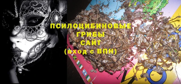 экстази Гусев