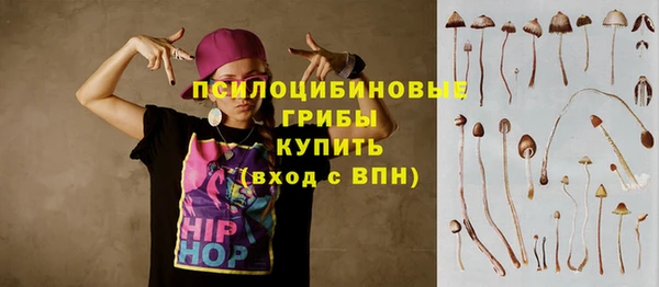 прущие крисы Гусиноозёрск