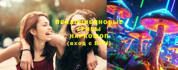 экстази Гусев
