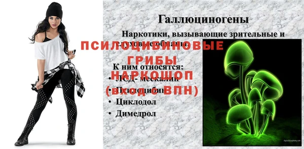 экстази Гусев